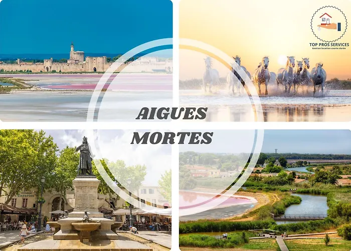 Le Estella - Parking Wifi Au Calme 2 Min Plages - Resid Le Rayol - Pros Servicesconciergerie Motte Appartement